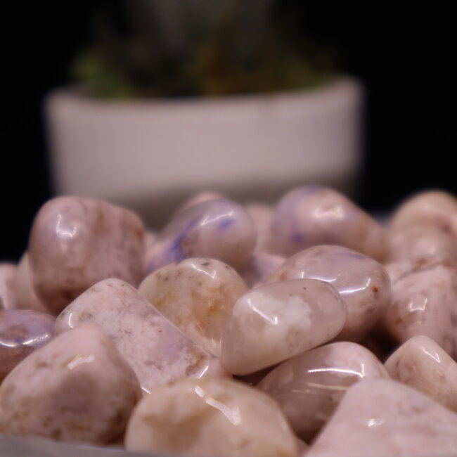 Wyoming Jade - Tumbled