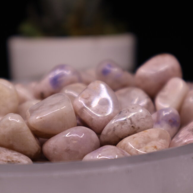 Wyoming Jade - Tumbled