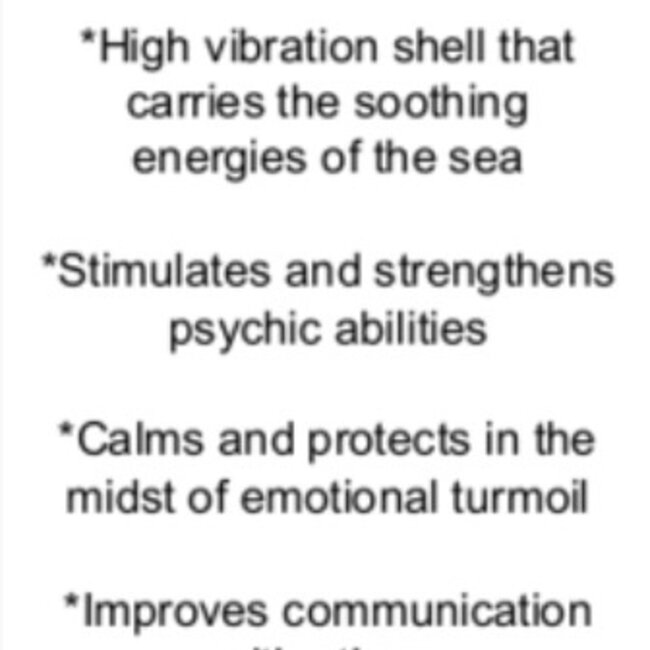 Abalone Shell - Tumbled