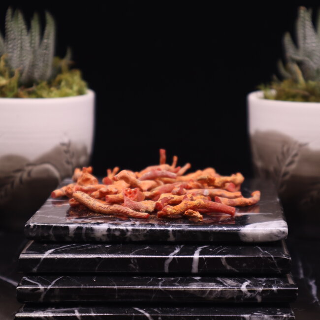 Red Coral - Stick Natural Rough Raw