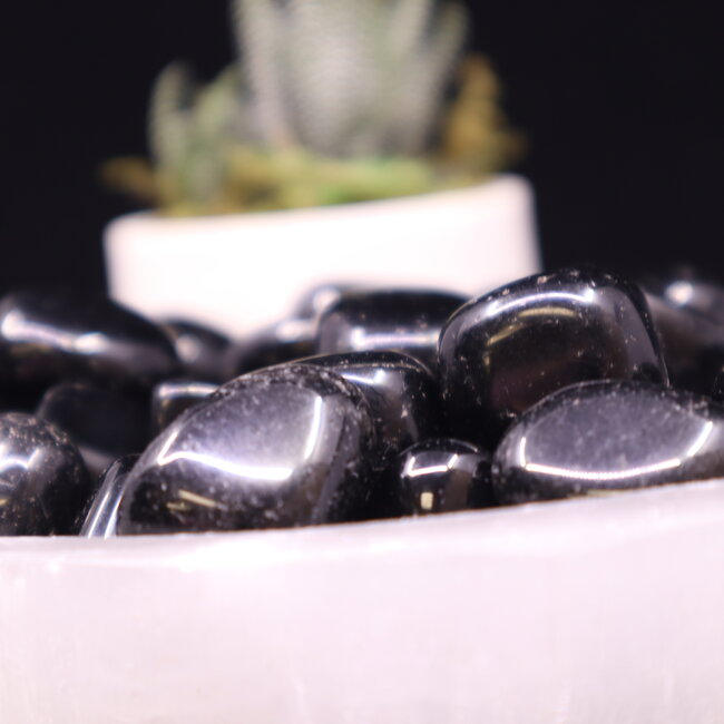 Black Obsidian - Tumbled
