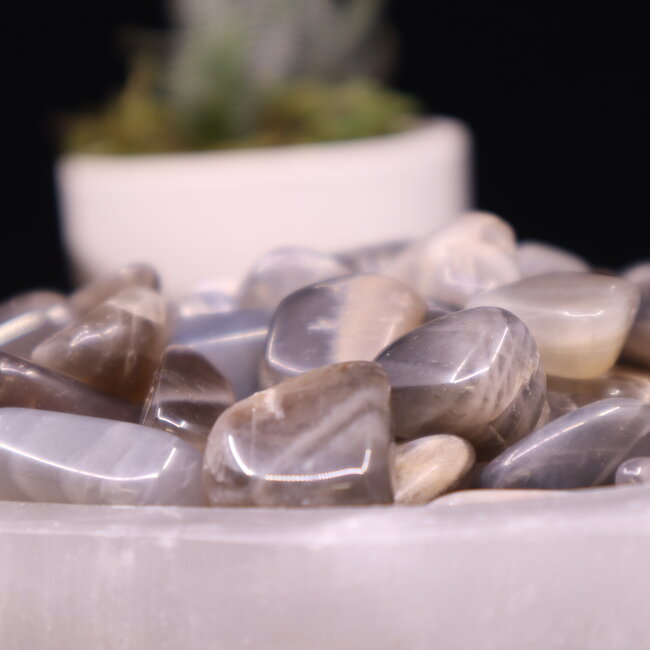 Black Moonstone - Tumbled