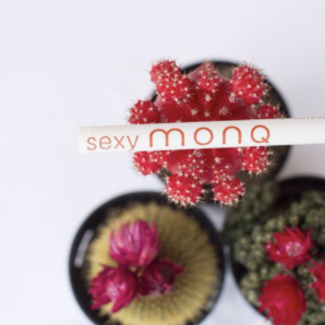 MONQ Sexy Pen (Cinnamon Jasmine Patchouli) Essential Oil - Personal Aromatherapy Diffuser