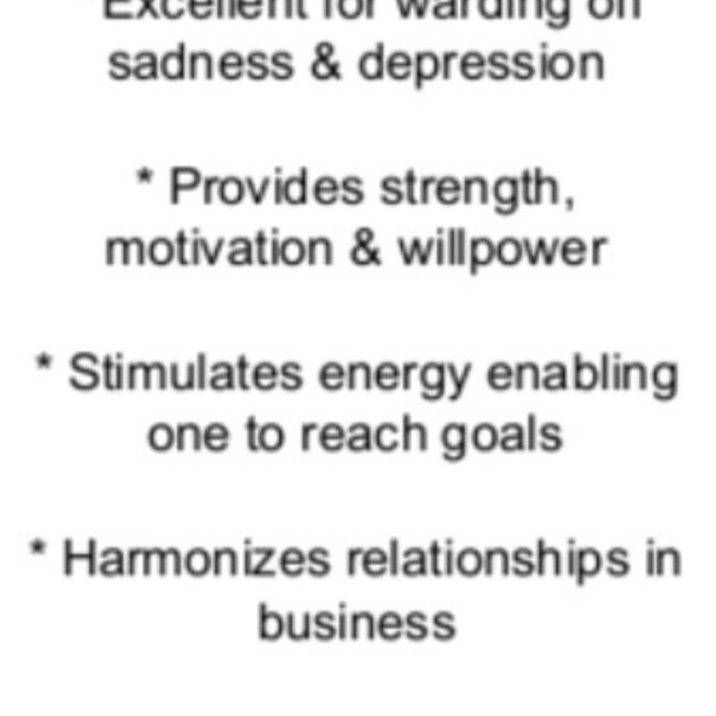 Red Coral - Stick Natural Rough Raw