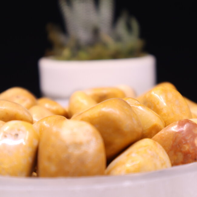 Yellow Jasper- Tumbled