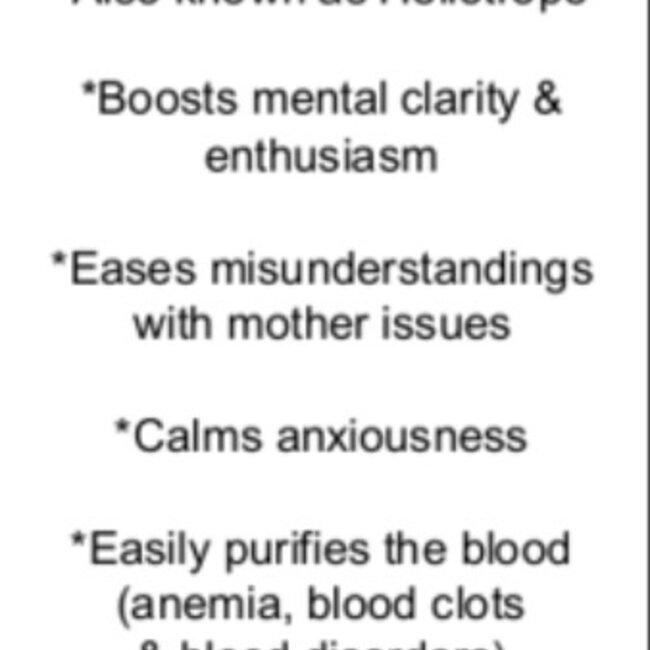 Bloodstone (Seftonite Heliotrope) - Tumbled