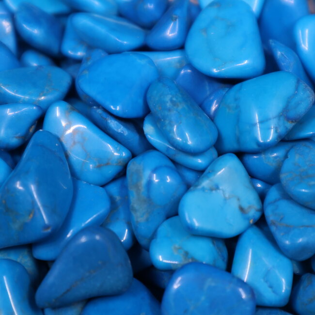 Blue Howlite (Magnesite) - Tumbled