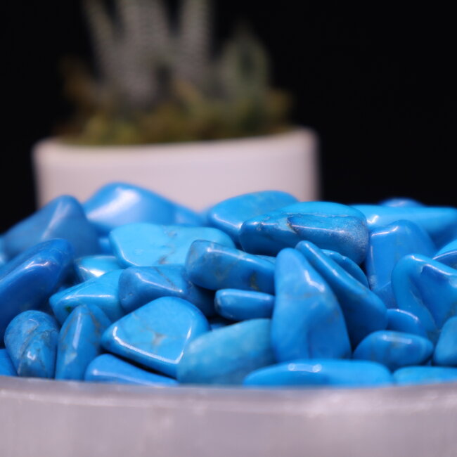 Blue Howlite (Magnesite) - Tumbled