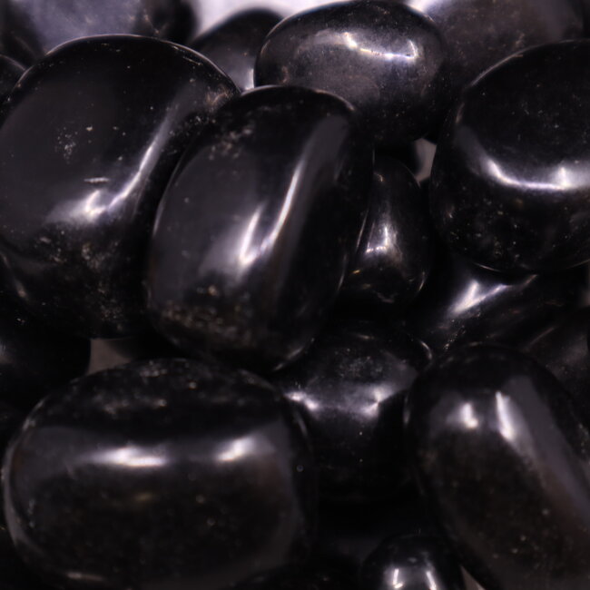 Jet (Lignite) - Tumbled