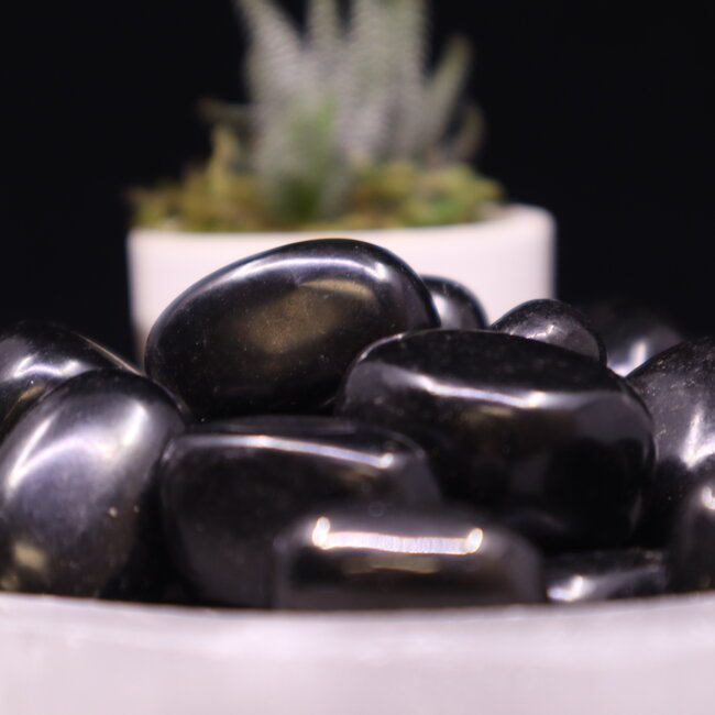 Jet (Lignite) - Tumbled