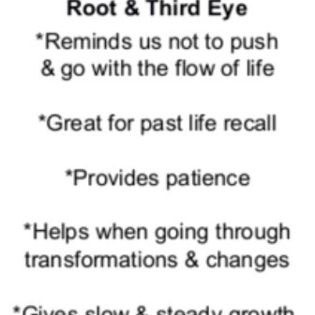 Petrified Wood Medium - Tumbled