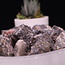 Rhodonite-Rough Raw Natural