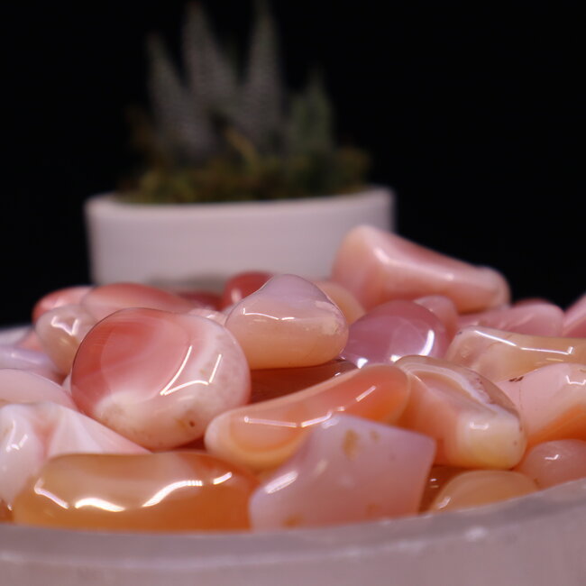 Apricot Agate - Tumbled