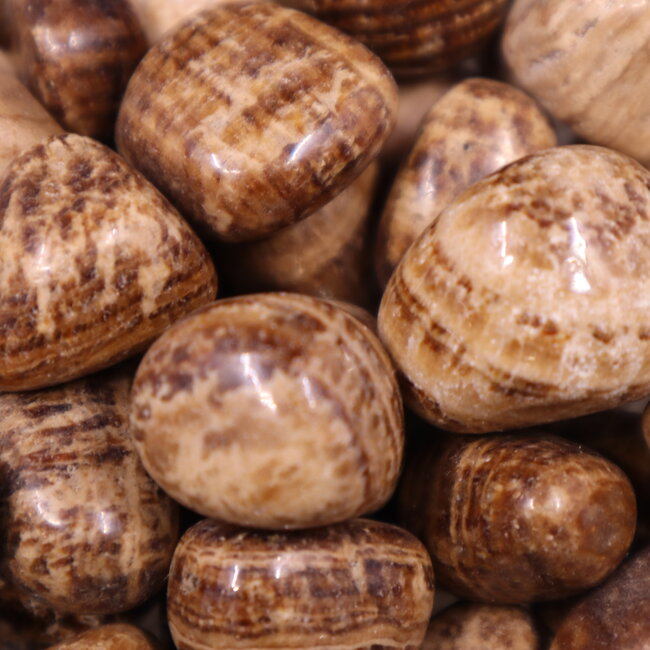 Brown & Cream Aragonite - Tumbled