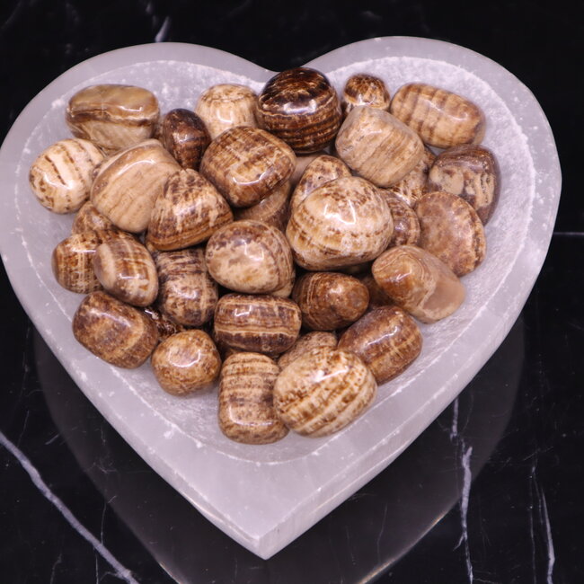 Brown & Cream Aragonite - Tumbled