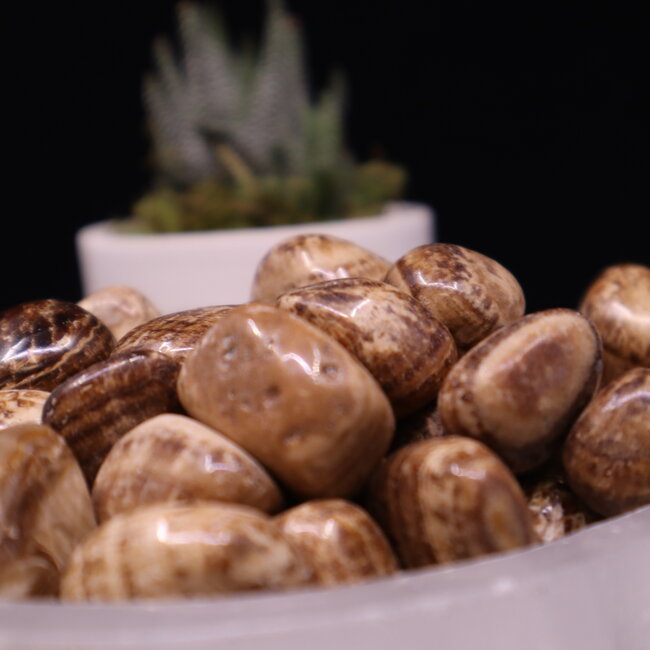 Brown & Cream Aragonite - Tumbled