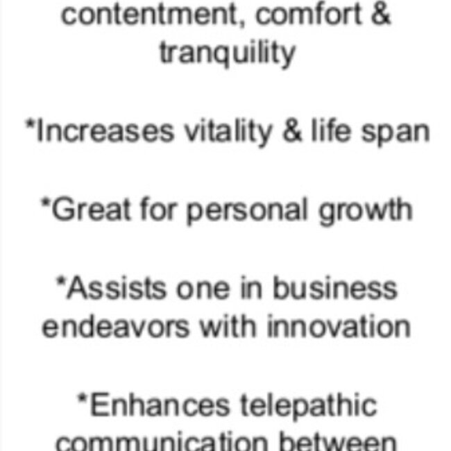 Agatized (Fossil ) Coral - Tumbled