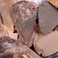 Jasper Arrowheads Arrow Heads - 1.5" Medium