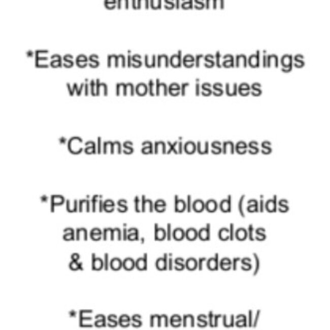 Bloodstone (Seftonite Heliotrope) Cubes 1"