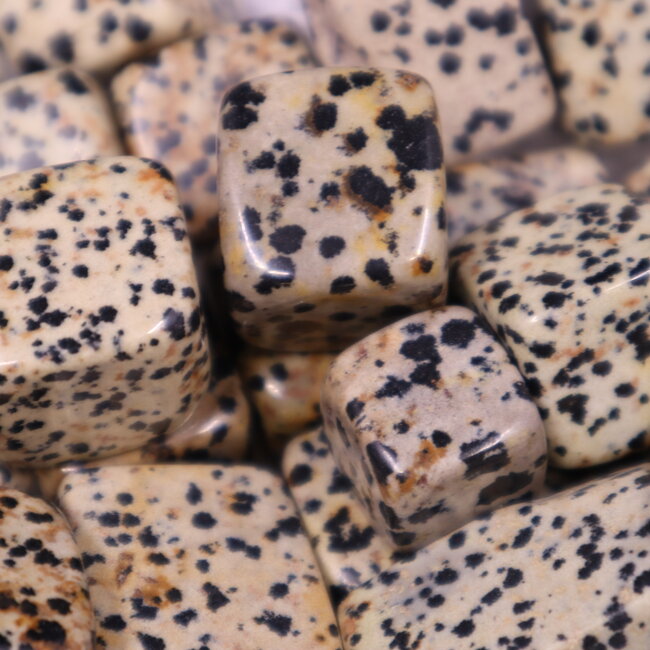 Dalmatian Jasper Cubes 1"