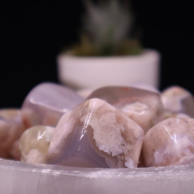 Flower Agate (Cherry Blossom) Cubes 1"