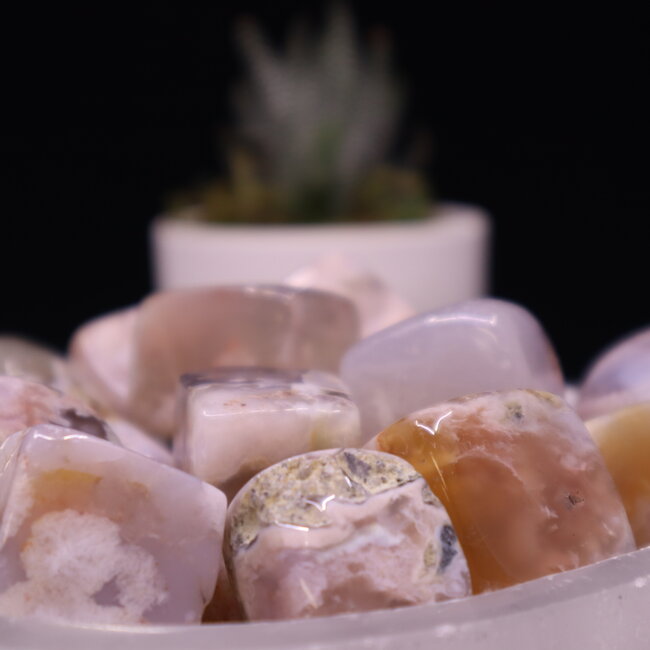 Flower Agate (Cherry Blossom) Cubes 1"