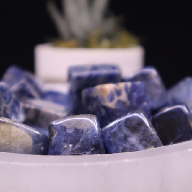 Sodalite Cubes 1"