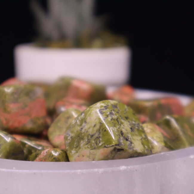 Unakite Jasper Cubes 1"