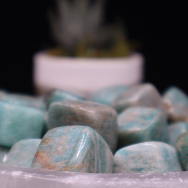 Amazonite Cubes 1"