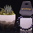 Charoite Bracelets - 8 9mm