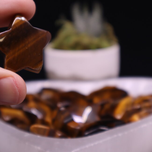 Gold Tigers Eye Stars - Medium