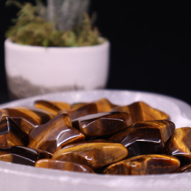 Gold Tigers Eye Stars - Medium