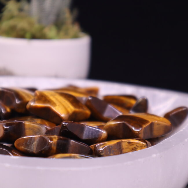 Gold Tigers Eye Stars - Medium