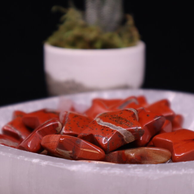 Red (Chestnut) Jasper Stars - Medium
