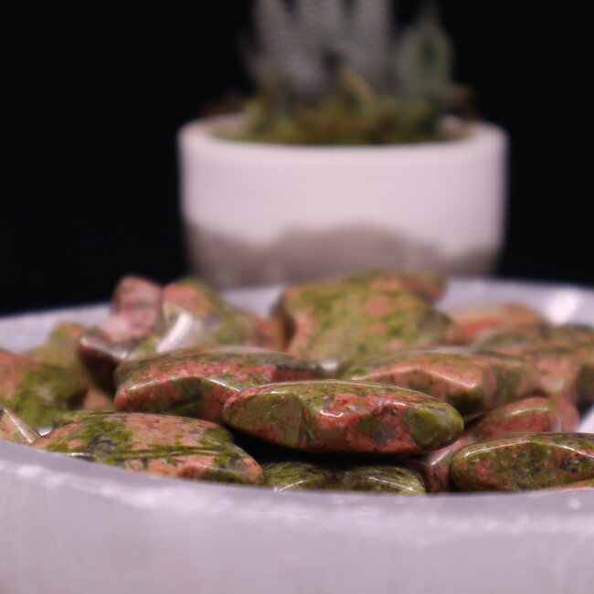 Unakite Jasper Stars - Medium