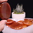 Banded Carnelian Worry (Thumb Fidget Relaxation Pocket) Stones - Large Oval