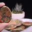 Unakite Jasper Worry (Thumb Fidget Relaxation Pocket) Stones - Large Oval
