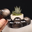 Silversheen (Silver Sheen) Obsidian Spheres Orb Globe - 25mm