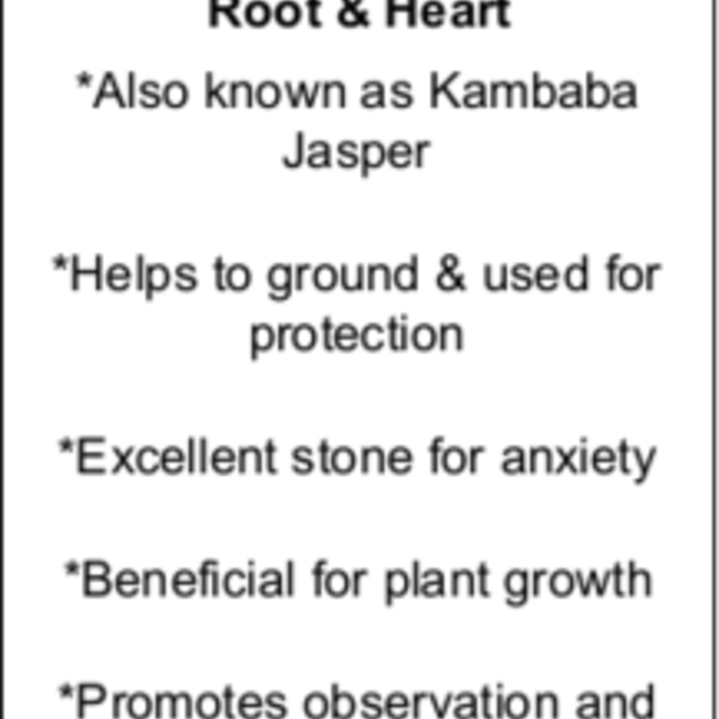 Crocodile (Kambaba) Jasper (Green Stromatolite) Bracelets - 8mm