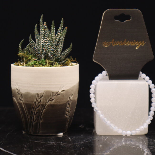 Blue Lace Agate Bracelets - 4mm Mini