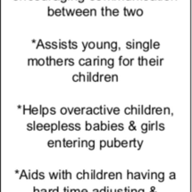 Kunzite - Tumbled Chip (Pack of 5)