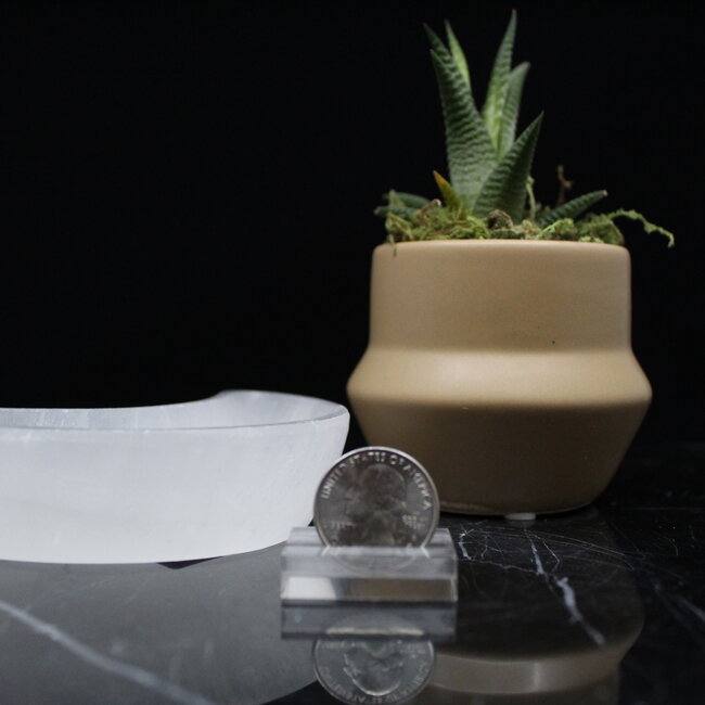 Selenite (Satin Spar Gypsum) Crescent Moon Charging Bowl-Small 4" Dish