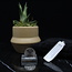 Selenite (Satin Spar Gypsum) Pendants - Flat Blade Rough Raw Natural - Silver Plated Cap 2"