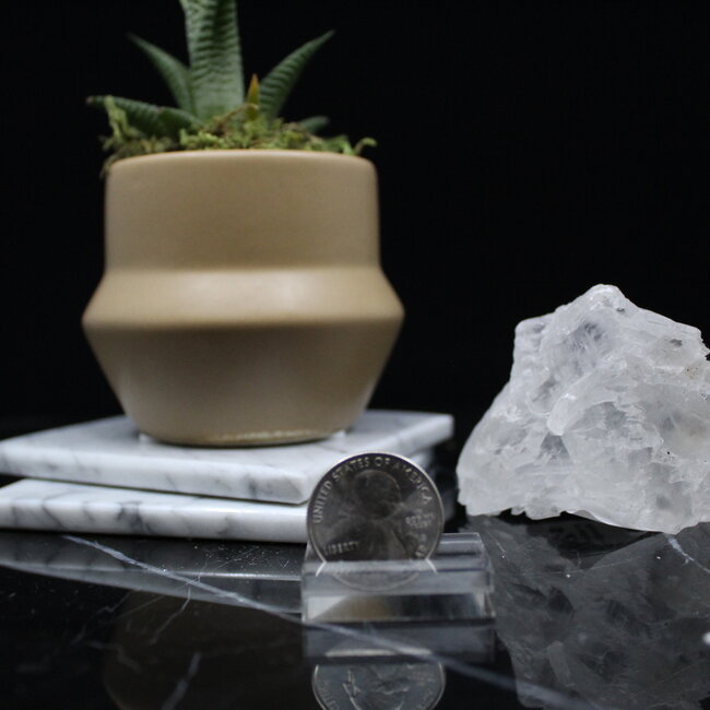 Selenite (Satin Spar Gypsum) Fishtail Small - Rough Raw Natural