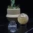 Honey (Yellow Gold) Calcite Sphere Orb - 35-40mm