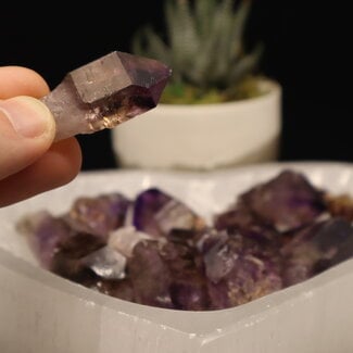 Brandberg Amethyst Point Scepter - Small - Medium Sceptre Rough Raw Natural