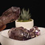 Brandberg Amethyst Scepter - Medium