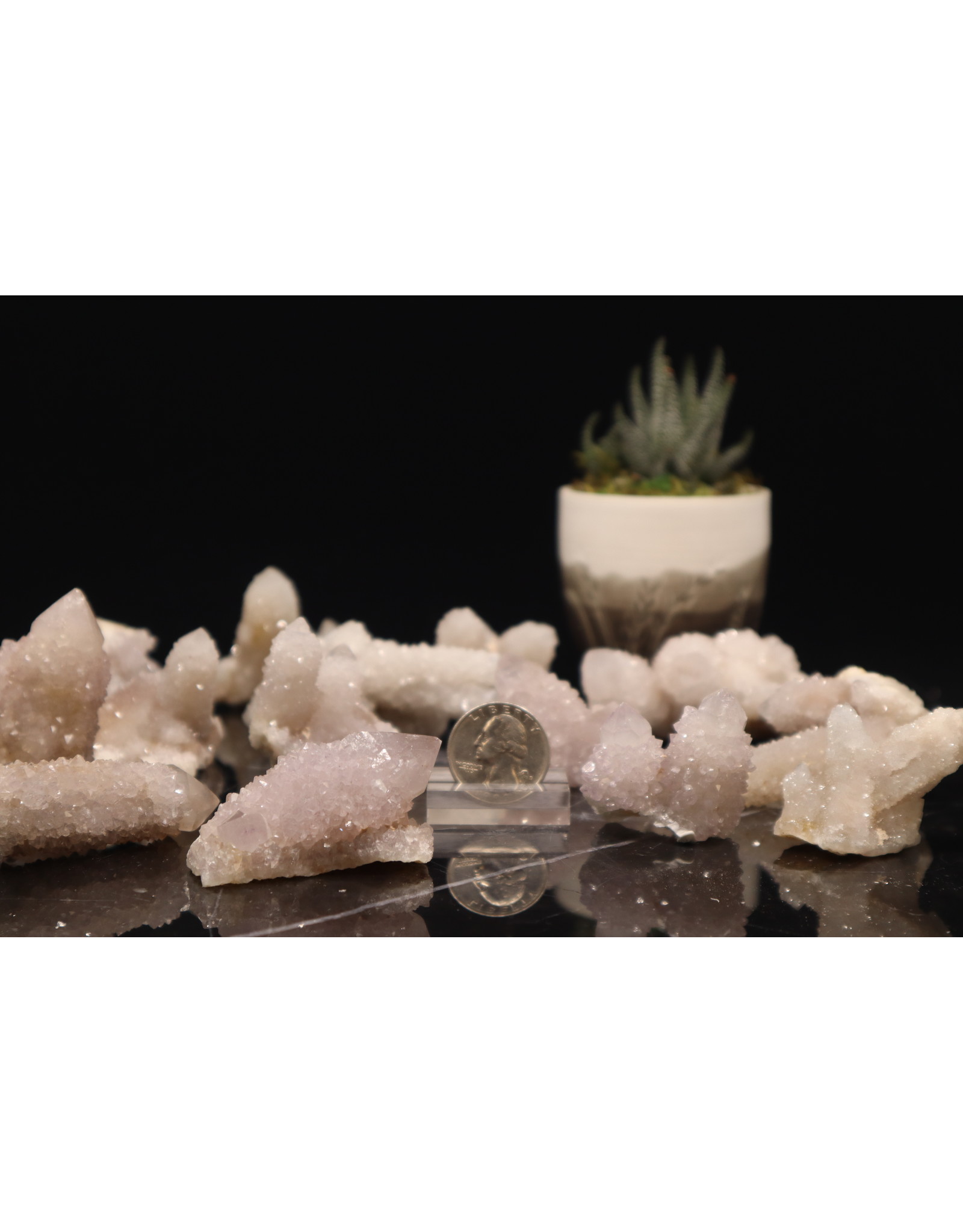 Cactus Quartz White Large Awakenings