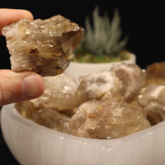 Congo Citrine (Kundalini Quartz) Clusters - Medium Rough Raw Natural