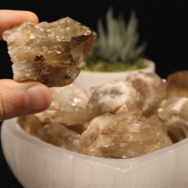 Congo Citrine (Kundalini Quartz) Clusters - Medium Rough Raw Natural